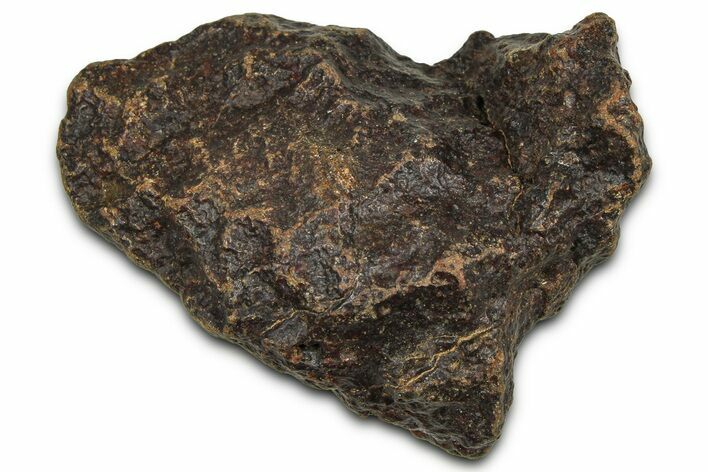 Chondrite Meteorite ( g) - Western Sahara Desert #371293